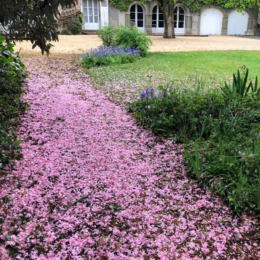 מלון שולה Au Rez De Jardin מראה חיצוני תמונה