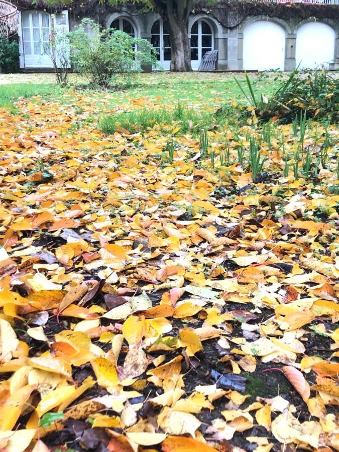 מלון שולה Au Rez De Jardin מראה חיצוני תמונה