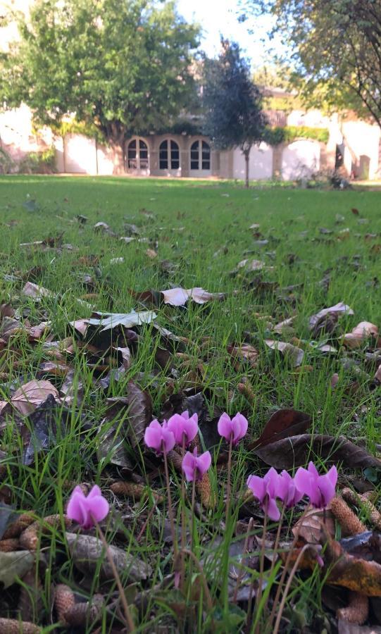 מלון שולה Au Rez De Jardin מראה חיצוני תמונה